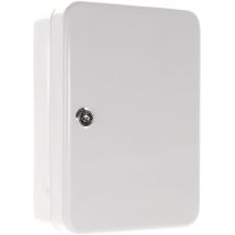 Rottner - Schlüsselbox sk 10 H250xB180xT85 mm lichtgrau Stahl Anzahl Haken 20