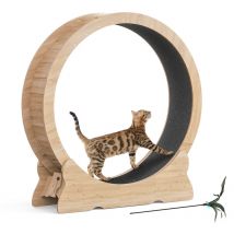 Mondeer - Arbre à chat roue d'exercice pour chats grande taille entraînement des chats tapis amovible extra faible bruit 110x36x117cm chêne