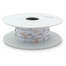 Homepluss - Rouleau 50M Bande led 7,2W/M rgb IP20