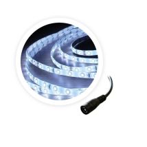 Rouleau 5M Bande led 6W/M 6000-6500K 24V