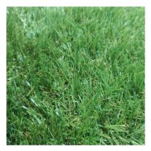 Comercial Candela - Gazon Synthétique 2X4M 20MM Lisse Duveteux Jardin Extérieur Type Quatre-tons