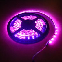 Autoled - rouleaux leds 2 metres SMD3528 violet fuschia