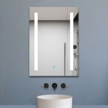 Biubiubath - 600 x 450mm Vertical Illuminated led Bathroom Mirror Light Touch Sensor with Demister