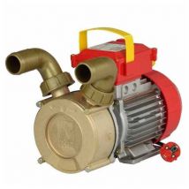 Rover Pompe - be-m électropompe de transfert Hp 1,00 (mm, 40)