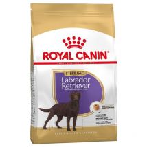 Labrador Retriever sterilisiert fЩr sterilisierte Arbeiter - 12 kg - Royal Canin