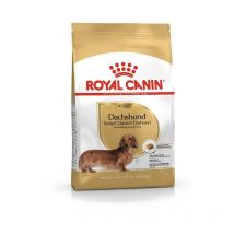 Teckel Adult - nourriture sèche pour chien - 1,5 kg - Royal Canin
