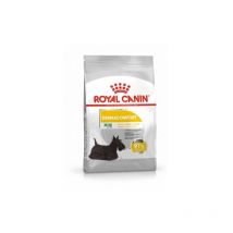 Crocchette Cane Mini Derma 3 Kg Royal Canin