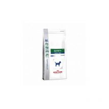 Dit Eckzahn Sttigung kleiner Hund 1,5 kg - Royal Canin
