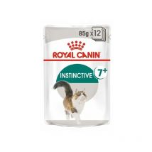 Instinctive +7 85g (Gelatina) para gatos a partir de 7 años de edad - 12 Sobres 85g - Royal Canin