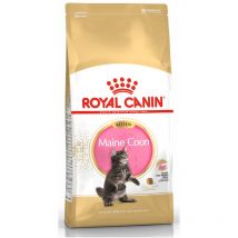 Maine Coon Kitten da 2 Kg - Royal Canin