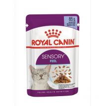Gatto fhn Sensory Feel Bocconcini in Gelatina 85gr - Royal Canin