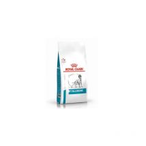 Essen fЩr Hunde Alism Royal Canin Anallergenic 3 kg