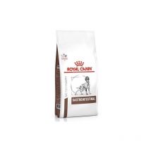 Royal Canin Veterinary Diet Gastro Intestinal per Cane da 15 Kg