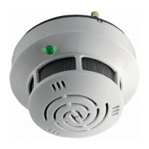 RSch rz 101 cont. 1 ud. Montaje en techo assa-abloy