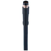 Belden 934636169-1 Connettore Confezionato Per Sensore O Attuatore M8 Spina Dritta 2.00 M Numero Di Poli: 8 1 Pz.