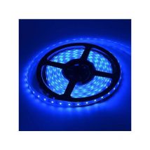 Ruban led 5m Etanche IP67 - Bleu