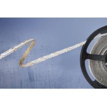 Barthelme Basic - Ruban Led 51540133 Avec Câble À Extrémités Ouvertes 24 V 5 M N/a 1 Pc(s) R806231