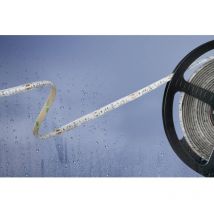 Ruban LED Barthelme Basic 51540234 avec câble à extrémités ouvertes 24 V 5 m N/A 1 pc(s)