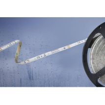 Barthelme Basic – 51540433 – Ruban LED intérieur 12V 5m IP54 – Couleur de la lumière, Longueur, Destination d’usage, Alimentation électrique