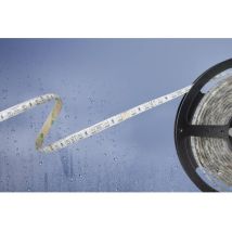 Barthelme Basic - Ruban Led 51540831 Avec Câble À Extrémités Ouvertes 24 V 5 M N/a 1 Pc(s) R806331