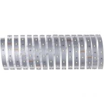 Paulmann - MaxLED Stripe Daylight 79859 Ruban led avec connecteur mâle 5 m blanc lumière du jour 1 pc(s)