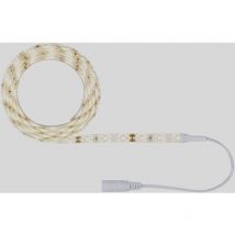 Paulmann - fn SimpLED 78953 Ruban led avec connecteur mâle 12 v 1.5 m blanc chaud 1 pc(s)