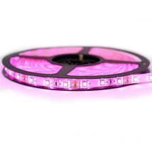 Ruban Professionnel 3528 -60 leds/ 1 à 10 mètres au choix - Rose (IP65) Transformateur: Alimentation Inclus - Longueur: 2.5 mètres