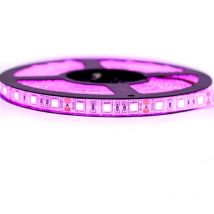 Kit Ruban Professionnel 5050 - 60 leds/m - 5 mètres rose anti éclaboussure (IP65) Longueur: 5 mètres - Transformateur: Alimentation Inclus
