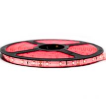 Ruban Professionnel 3528 -60 leds - 1 à 10 mètres - rouge (IP65) Transformateur: Alimentation Inclus - Longueur: 2.5 mètres