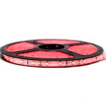 Ruban Professionnel 3528 -60 leds - 1 à 10 mètres - rouge (IP65) Transformateur: Alimentation Non-Inclus - Longueur: 2.5 mètres