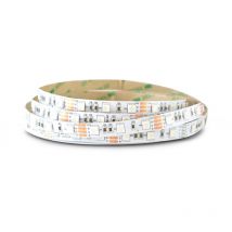 Schlauchbänder 14,4w/m - 5 Meter 60 Led Eco 6000k Kaltweiß - Ip65 - 12v Pu