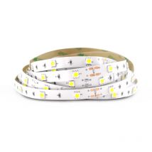 Schlauchstreifen 7,2w/m - 5 Meter 30 Led Eco 6000k Kaltweiß - Ip20 - 24v