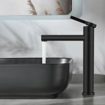 Rubinetto Bagno Lavabo Alto Miscelatore Bocca Girevole 360° Miscelatore per lavabo in acciaio inox Rubinetto per lavabo nero