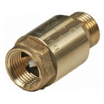 Xylem - Rückschlagventil 3/4' ag x 3/4' ig