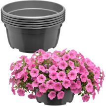 Garronda Blumentopf Rund Pflanzschale Ø21 X 10,5 Cm (3 L) 5er Set Kunststoff Mit Drainage Pflanzgefäß Für Wurzelpflanzen Zwiebelpflanzen Garten 