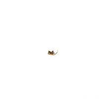 Mc Culloch - Rupteur PRO7-10A, PRO10-10, PROSP81