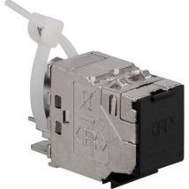 Rutenbeck - UM-CAT.6A iso 25/10G. 13900310