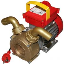 Rversible Rversible Rotation Elektrische Pumpe 650 w Formen 30 mm Rover