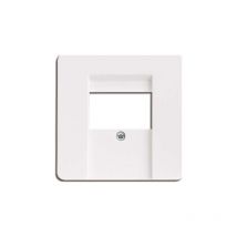 Rw plaque centrale pour prise tae 3 voies 206014 Elso