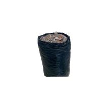 Mb Expert - Sacs À Gravats, Dimensions 500 X 1000 Mm, Carton De 100 Pièces