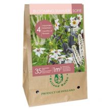 Sac Bulbes fleurs été champêtre