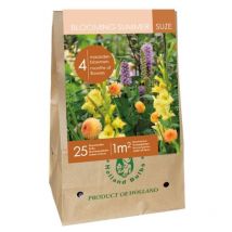 Sac de Bulbes fleurs estivales suze