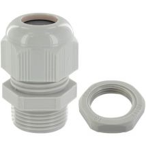 Presse étoupe avec écrou - pg11 - sachet de 10 BLM distribution 158112