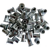 Sachet de 50 inserts filetes acier galvanise de m6