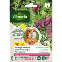 Vilmorin - Mélange de fleurs pour Cochons d'Inde