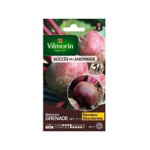 Sachet graines Betterave Grenade HF1