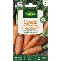 Vilmorin - Sachet graines Carotte de Chantenay à coeur rouge 2