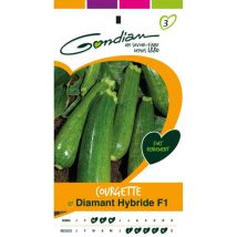 Sachet graines Courgette Diamant HF1 Gondian