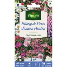 Fleurs Vivaces Hautes - 4 M² - Mélange de fleurs