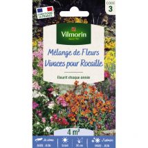 Vilmorin - Fleurs Vivaces pour Rocaille - 4 M² - Mélange de fleurs